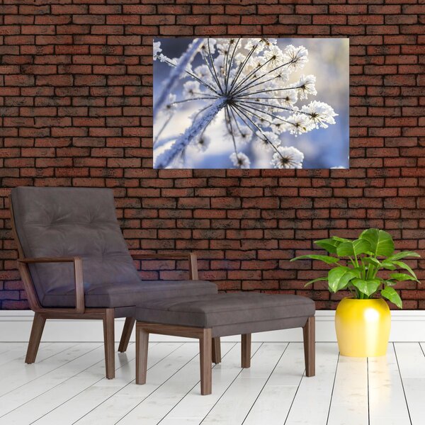 Slika - Smrznuti cvijet (90x60 cm)