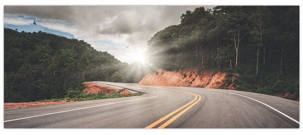 Slika - Početak ceste (120x50 cm)