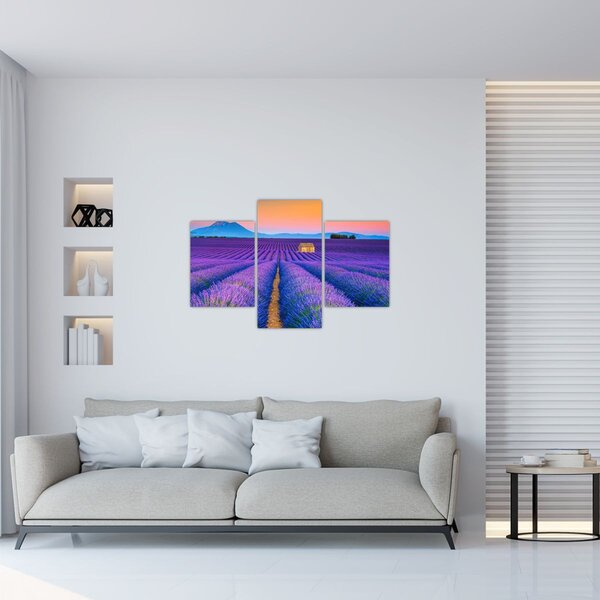 Slika - Polje lavande (90x60 cm)