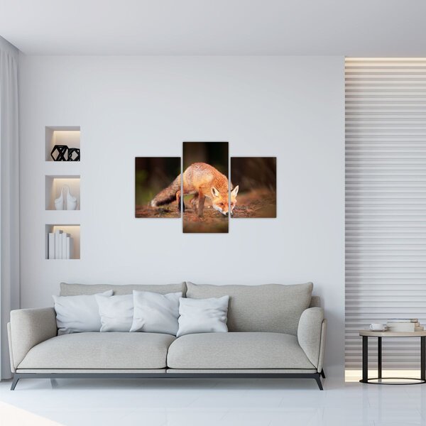 Slika - Lisac u šumi (90x60 cm)