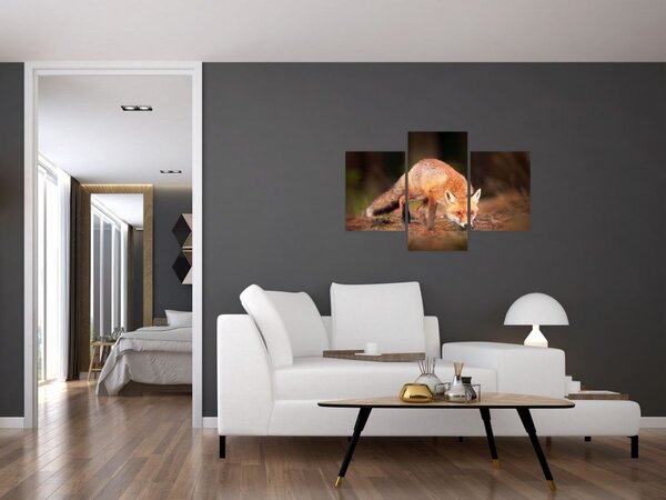 Slika - Lisac u šumi (90x60 cm)