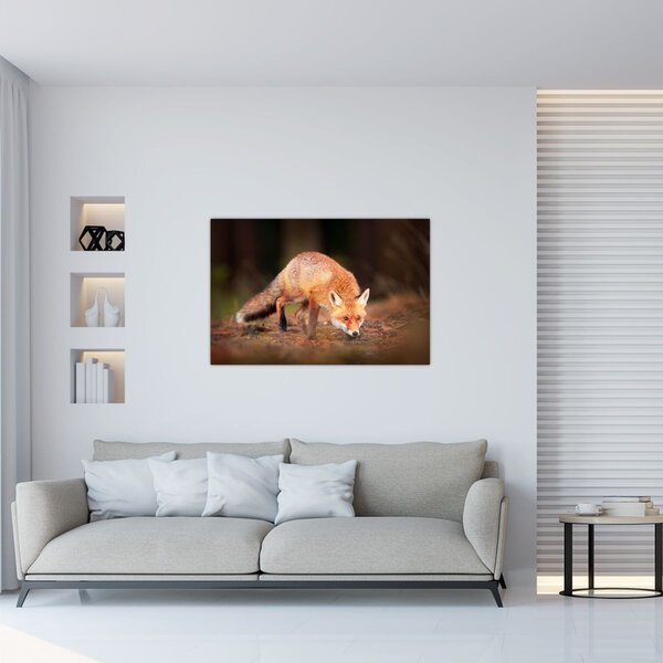 Slika - Lisac u šumi (90x60 cm)