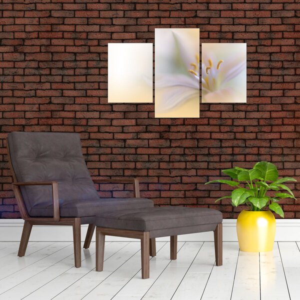 Slika - Nježni cvijet (90x60 cm)