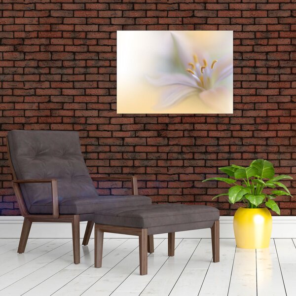Slika - Nježni cvijet (70x50 cm)