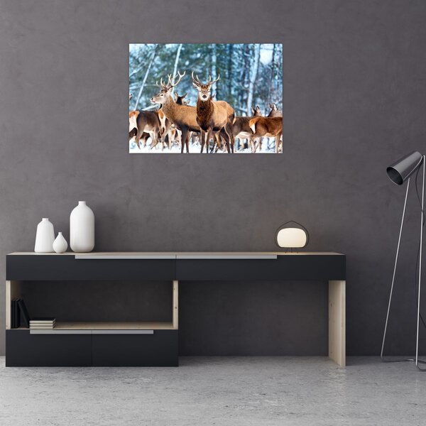 Slika - Krdo jelena (70x50 cm)