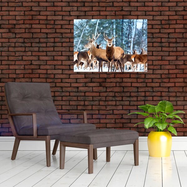 Slika - Krdo jelena (70x50 cm)