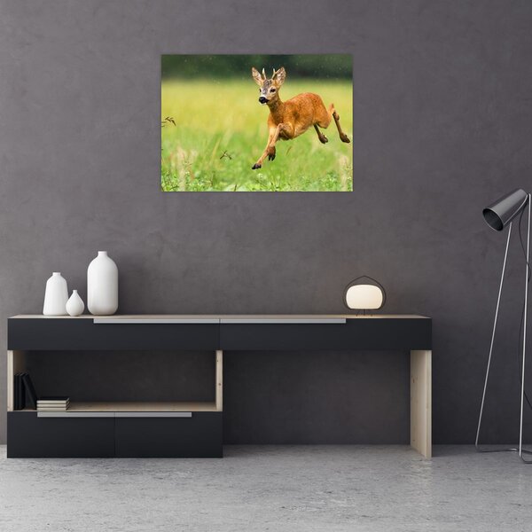 Slika - Bambi (70x50 cm)