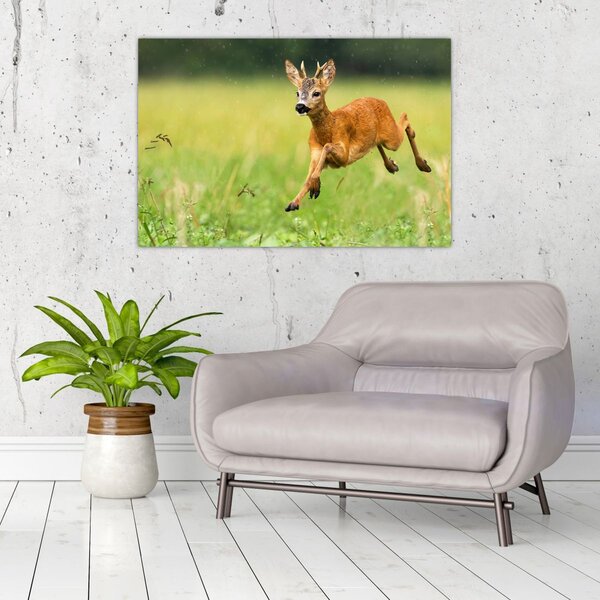 Slika - Bambi (90x60 cm)
