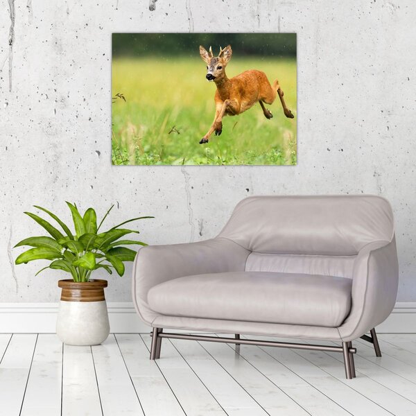 Slika - Bambi (70x50 cm)