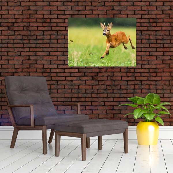 Slika - Bambi (70x50 cm)