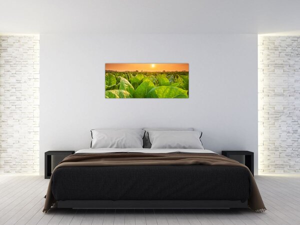 Slika - Polje (120x50 cm)