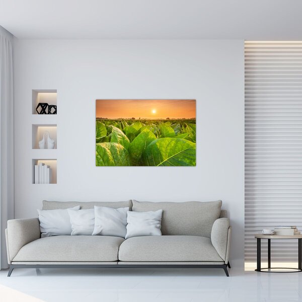 Slika - Polje (90x60 cm)