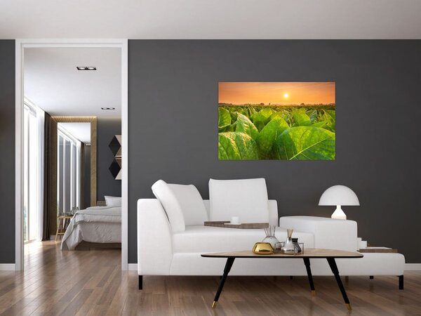 Slika - Polje (90x60 cm)