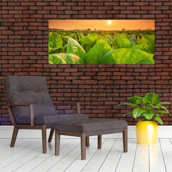 Slika - Polje (120x50 cm)