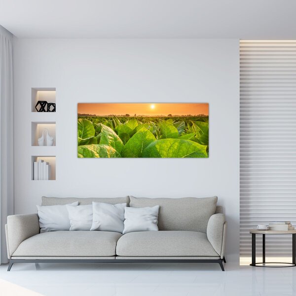 Slika - Polje (120x50 cm)