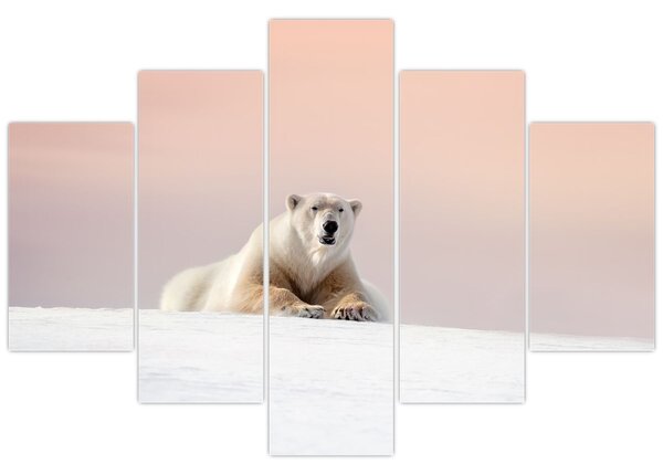 Slika - Polarni medvjed (150x105 cm)