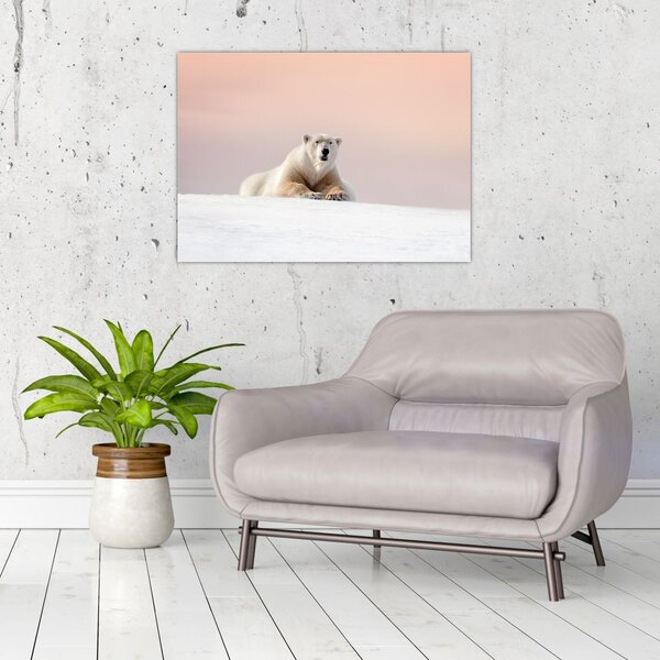 Slika - Polarni medvjed (70x50 cm)