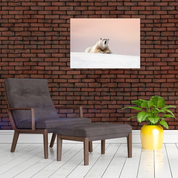 Slika - Polarni medvjed (70x50 cm)