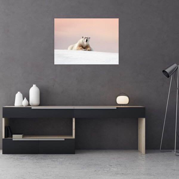 Slika - Polarni medvjed (70x50 cm)