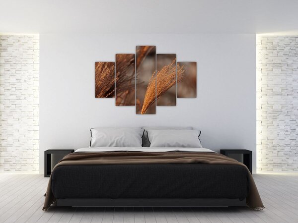 Slika - Pampas trava (150x105 cm)
