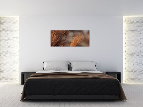 Slika - Pampas trava (120x50 cm)