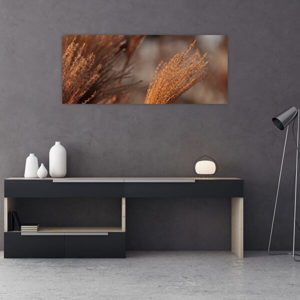 Slika - Pampas trava (120x50 cm)