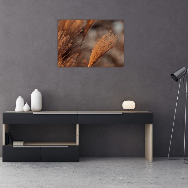 Slika - Pampas trava (70x50 cm)
