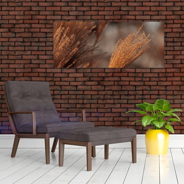 Slika - Pampas trava (120x50 cm)