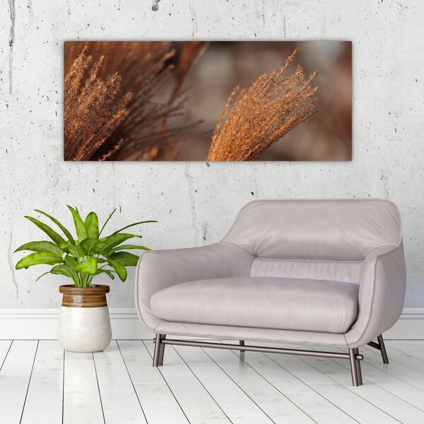 Slika - Pampas trava (120x50 cm)