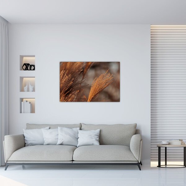 Slika - Pampas trava (90x60 cm)