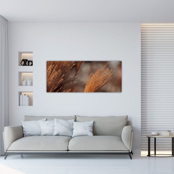 Slika - Pampas trava (120x50 cm)