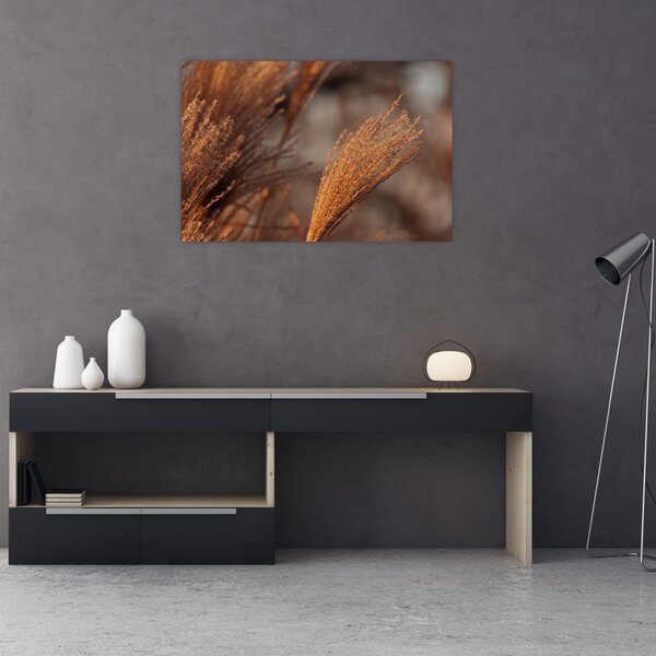 Slika - Pampas trava (90x60 cm)