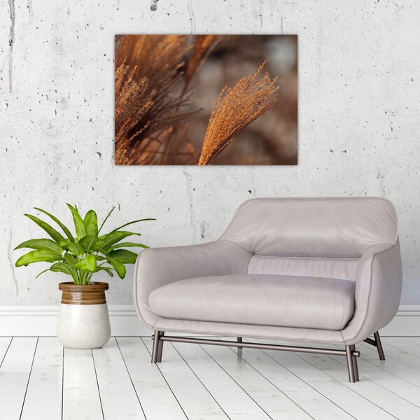 Slika - Pampas trava (70x50 cm)