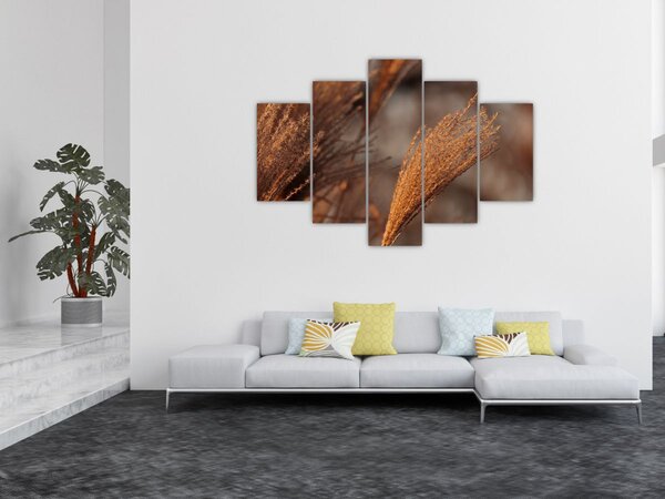 Slika - Pampas trava (150x105 cm)