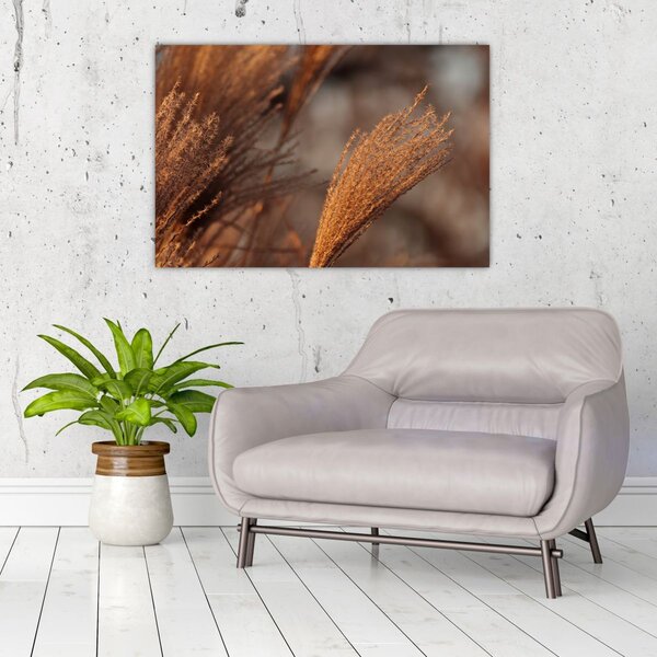 Slika - Pampas trava (90x60 cm)