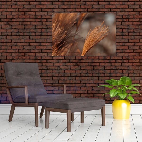 Slika - Pampas trava (90x60 cm)