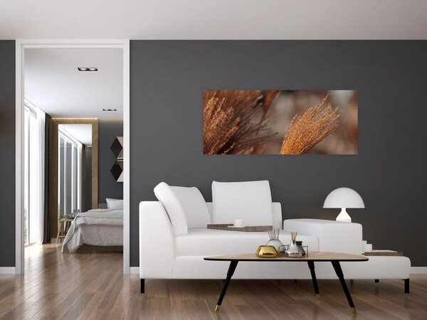 Slika - Pampas trava (120x50 cm)