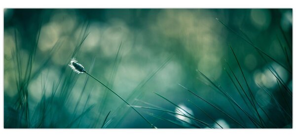Slika - Detalj trave (120x50 cm)