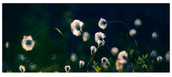 Slika - Trava (120x50 cm)