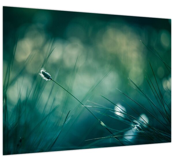 Slika - Detalj trave (70x50 cm)