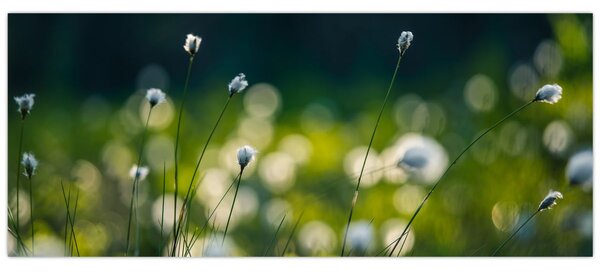 Slika - Trava (120x50 cm)
