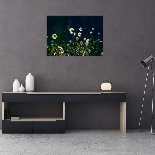 Slika - Trava (70x50 cm)