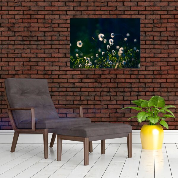 Slika - Trava (70x50 cm)