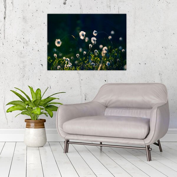 Slika - Trava (70x50 cm)