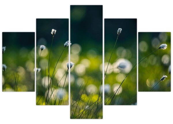 Slika - Trava (150x105 cm)
