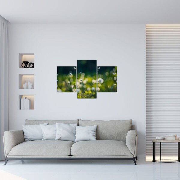 Slika - Trava (90x60 cm)