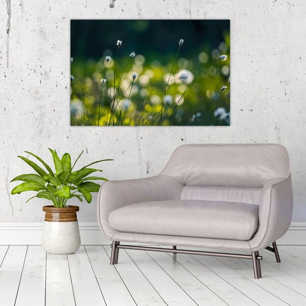 Slika - Trava (90x60 cm)
