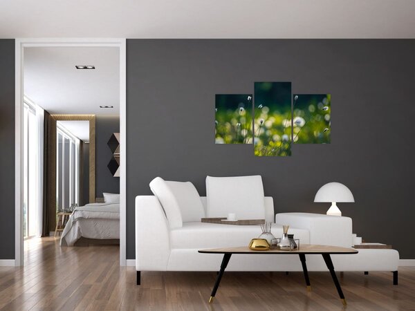 Slika - Trava (90x60 cm)