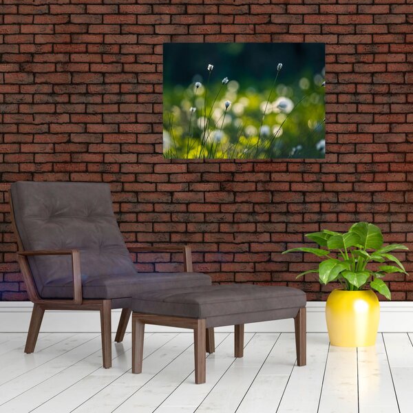 Slika - Trava (70x50 cm)