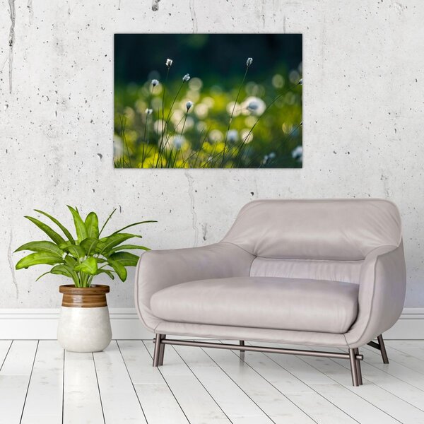 Slika - Trava (70x50 cm)